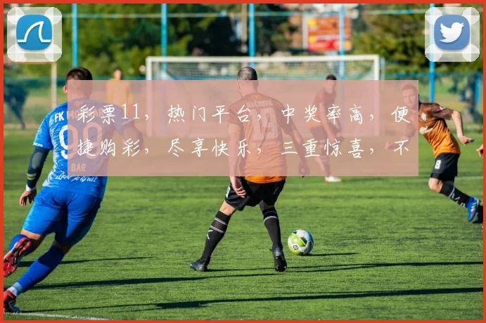 彩票11，热门平台，中奖率高，便捷购彩，尽享快乐，三重惊喜，不容错过，快来体验